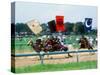 Horse Race in Samurai Armors-null-Stretched Canvas
