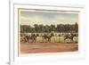 Horse Race, Saratoga Springs, New York-null-Framed Art Print