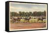 Horse Race, Saratoga Springs, New York-null-Framed Stretched Canvas