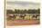 Horse Race, Saratoga Springs, New York-null-Stretched Canvas