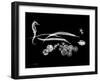 Horse Race Xray-Albert Koetsier-Framed Art Print