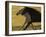 HORSE RACE-SALLY LINDEN-Framed Photographic Print