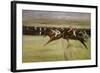 Horse Races in the Cascine, Florence, Italy, 1909-Max Liebermann-Framed Giclee Print