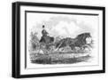 Black Frame