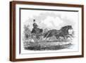 Brown Frame