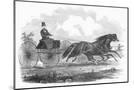 Wood Mount