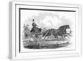 White Frame