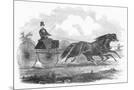 Wood Mount