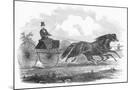 Wood Mount