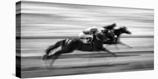 Horse Racing 7-Steven Zhou-Stretched Canvas