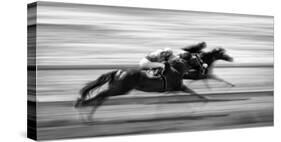 Horse Racing 7-Steven Zhou-Stretched Canvas