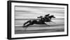 Horse Racing 7-Steven Zhou-Framed Photographic Print