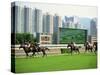 Horse Racing in Hong Kong, China-Tim Hall-Stretched Canvas