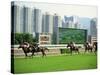 Horse Racing in Hong Kong, China-Tim Hall-Stretched Canvas