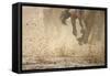 Horse racing in the mud-Maresa Pryor-Framed Stretched Canvas