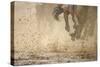 Horse racing in the mud-Maresa Pryor-Stretched Canvas