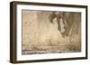 Horse racing in the mud-Maresa Pryor-Framed Photographic Print