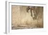 Horse racing in the mud-Maresa Pryor-Framed Photographic Print