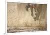 Horse racing in the mud-Maresa Pryor-Framed Photographic Print