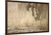 Horse racing in the mud-Maresa Pryor-Framed Photographic Print