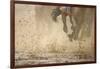 Horse racing in the mud-Maresa Pryor-Framed Photographic Print