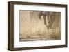 Horse racing in the mud-Maresa Pryor-Framed Photographic Print