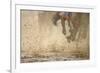 Horse racing in the mud-Maresa Pryor-Framed Premium Photographic Print