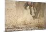 Horse racing in the mud-Maresa Pryor-Mounted Premium Photographic Print