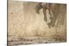 Horse racing in the mud-Maresa Pryor-Stretched Canvas