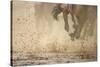 Horse racing in the mud-Maresa Pryor-Stretched Canvas