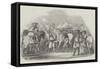 Horse-Racing in the Reign of Charles II-null-Framed Stretched Canvas