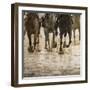 Horse racing on a muddy track-Maresa Pryor-Framed Photographic Print