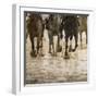 Horse racing on a muddy track-Maresa Pryor-Framed Photographic Print