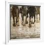 Horse racing on a muddy track-Maresa Pryor-Framed Photographic Print