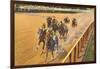 Horse Racing, Saratoga Springs, New York-null-Framed Art Print