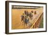 Horse Racing, Saratoga Springs, New York-null-Framed Premium Giclee Print