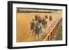 Horse Racing, Saratoga Springs, New York-null-Framed Premium Giclee Print