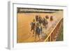 Horse Racing, Saratoga Springs, New York-null-Framed Premium Giclee Print