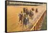 Horse Racing, Saratoga Springs, New York-null-Framed Stretched Canvas