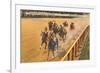 Horse Racing, Saratoga Springs, New York-null-Framed Art Print