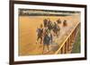 Horse Racing, Saratoga Springs, New York-null-Framed Art Print