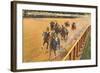 Horse Racing, Saratoga Springs, New York-null-Framed Art Print