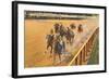 Horse Racing, Saratoga Springs, New York-null-Framed Art Print