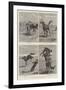 Horse Ranching in Queensland-John Charles Dollman-Framed Giclee Print