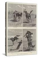 Horse Ranching in Queensland-John Charles Dollman-Stretched Canvas