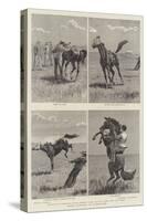 Horse Ranching in Queensland-John Charles Dollman-Stretched Canvas