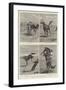 Horse Ranching in Queensland-John Charles Dollman-Framed Giclee Print