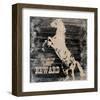 Horse Reward-Irena Orlov-Framed Art Print