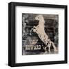 Horse Reward-Irena Orlov-Framed Art Print