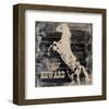 Horse Reward-Irena Orlov-Framed Art Print